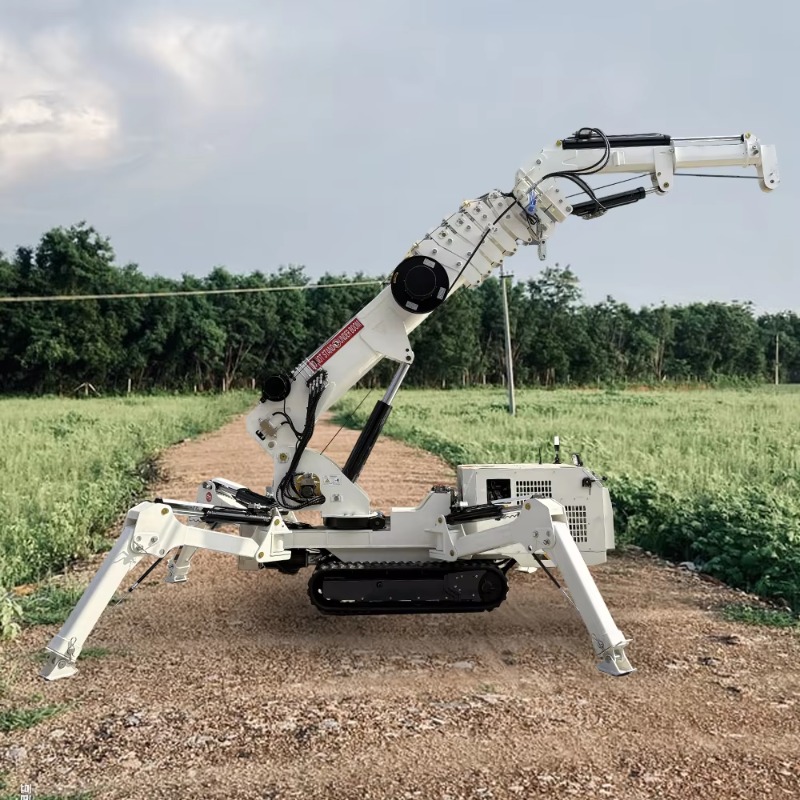 Compact Crawler Boom Lift - Compact Mini Spider Crane 1.5Ton Lifting