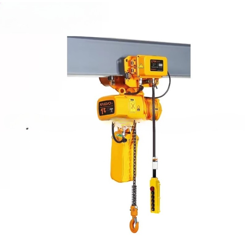 Dual Speed Electric Chain Hois - Heavy Equipment Industry ulasan dan harga